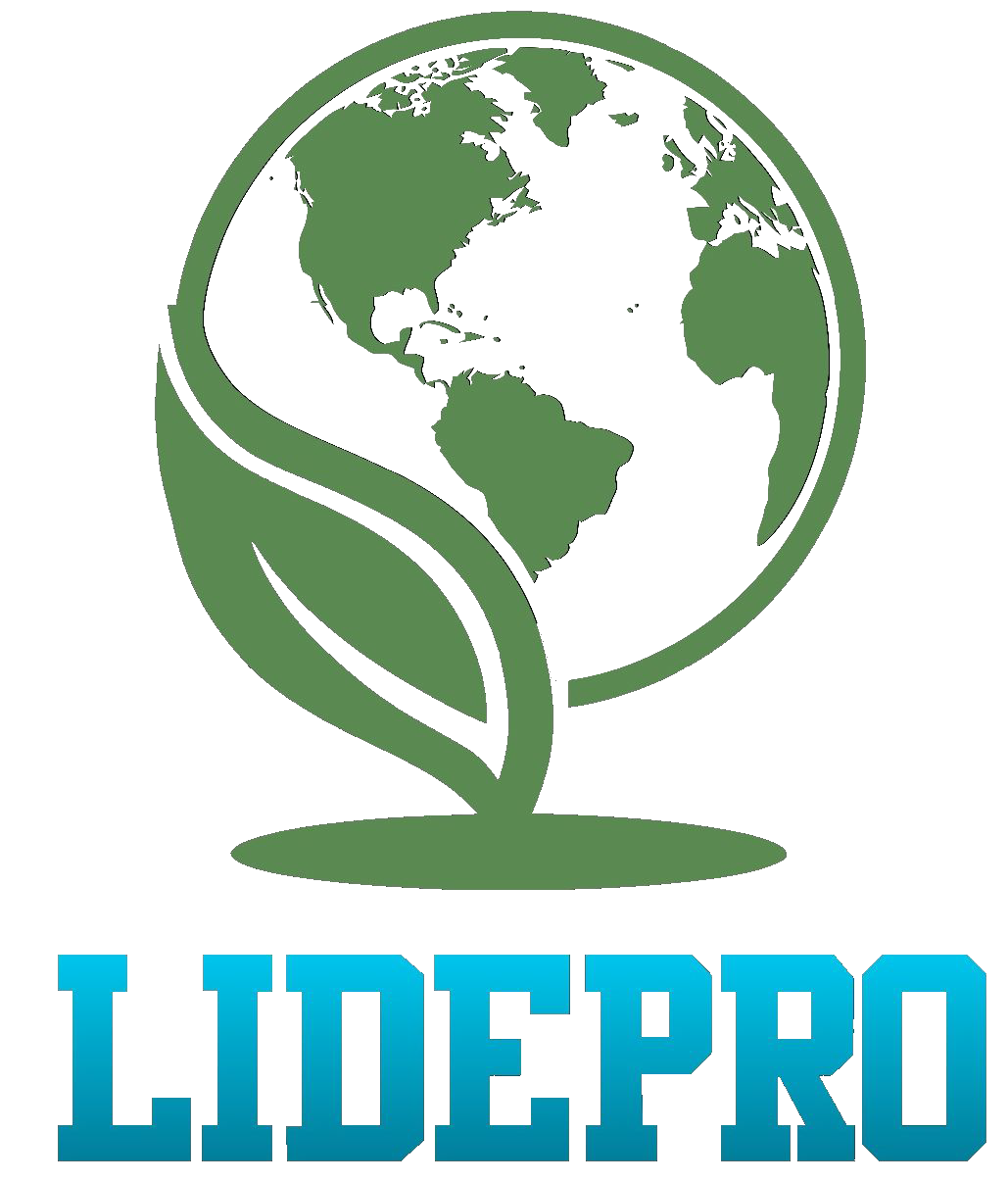 Limpieza y Desazolve Profesional